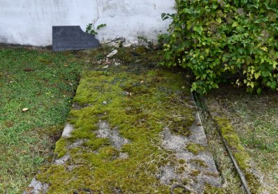 Vintířov, Omnium, 2020