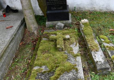 Vintířov, Omnium, 2020