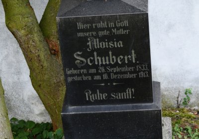 Vintířov, Omnium, 2020