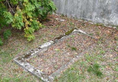 Vintířov, Omnium, 2020