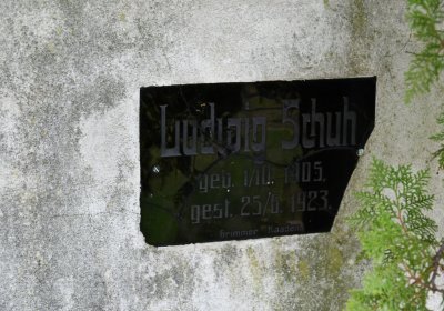 Vintířov, Omnium, 2020