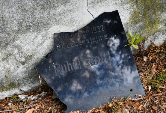 Vintířov, Omnium, 2020