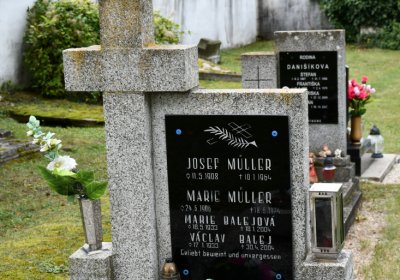 Vintířov, Omnium, 2020