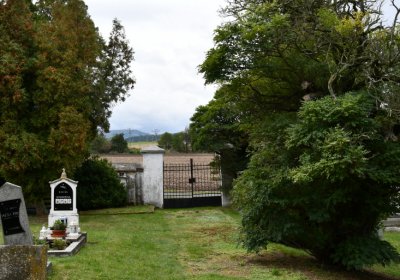 Vintířov, Omnium, 2020