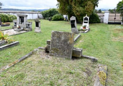 Vintířov, Omnium, 2020