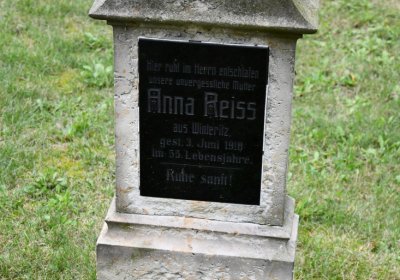 Vintířov, Omnium, 2020