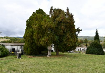 Vintířov, Omnium, 2020