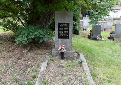 Vintířov, Omnium, 2020