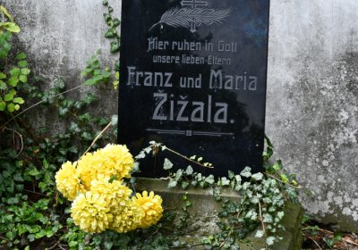 Vintířov, Omnium, 2020