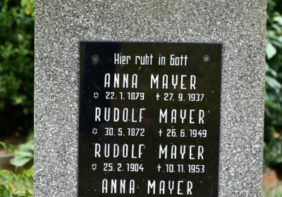 Vintířov, Omnium, 2020