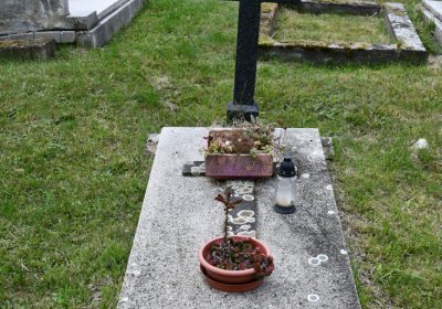 Vintířov, Omnium, 2020