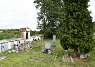 Vintířov, Omnium, 2020