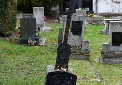 Vintířov, Omnium, 2020