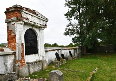 Vintířov, Omnium, 2020