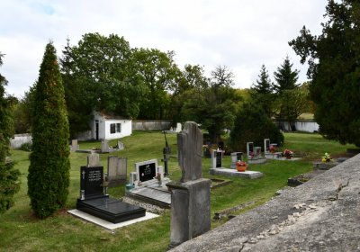 Vintířov, Omnium, 2020