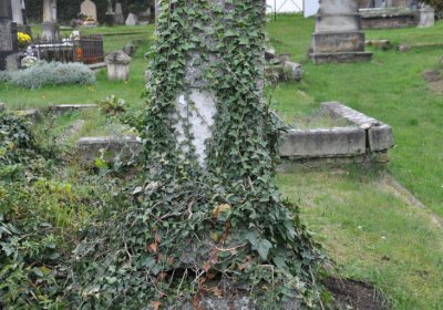 Strážiště, Omnium, 2020