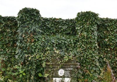 Strážiště, Omnium, 2020