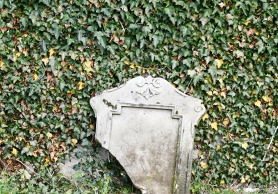 Strážiště, Omnium, 2020