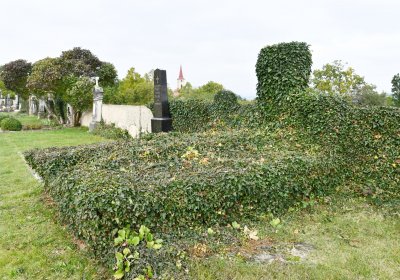 Strážiště, Omnium, 2020