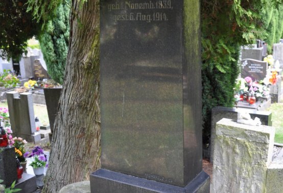 Omnium, 2020