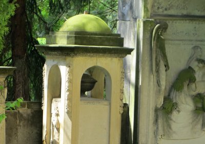 Kmochová Jana, 2015