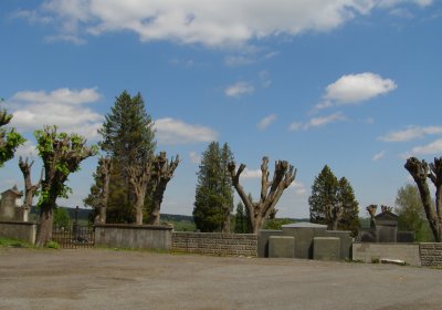 Kmínek Michal, 2020