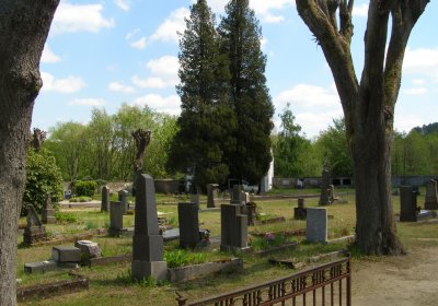 Kmínek Michal, 2020