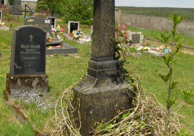 Kmínek Michal, 2020