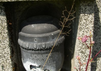 Kmínek Michal, 2020