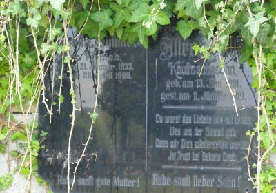 Kmínek Michal, 2020