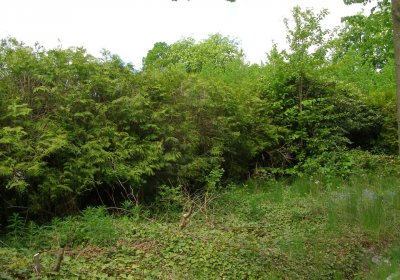 Kmínek Michal, 2020