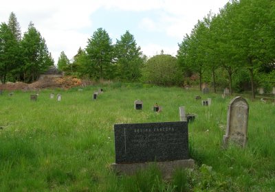 Kmínek Michal, 2020