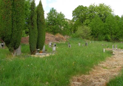 Kmínek Michal, 2020