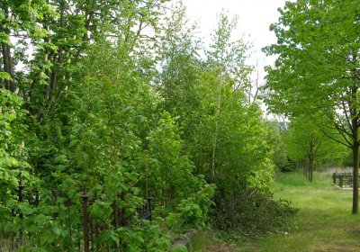 Kmínek Michal, 2020