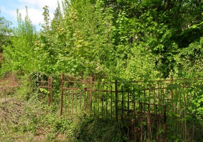 Kmínek Michal, 2020