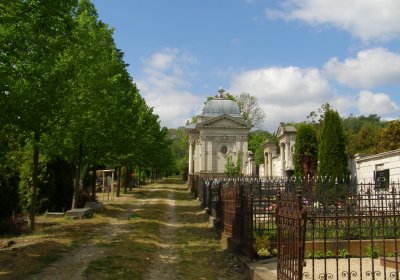 Kmínek Michal, 2020