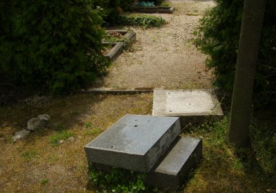 Kmínek Michal, 2020