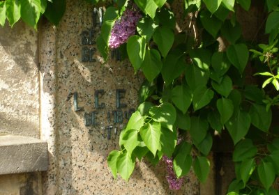 Kmínek Michal, 2020