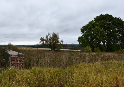 Křimov, Omnium, 2020