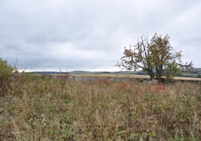 Křimov, Omnium, 2020