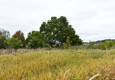 Křimov, Omnium, 2020