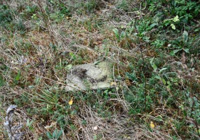 Křimov, Omnium, 2020