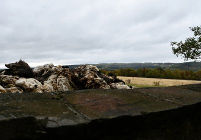 Křimov, Omnium, 2020