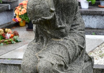 Novosedlice, Omnium, 2020