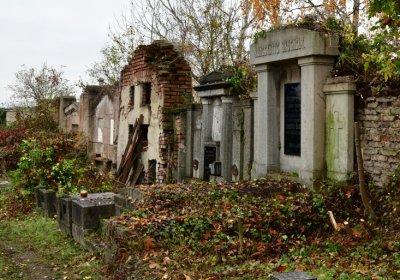 Novosedlice, Omnium, 2020