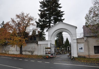 Novosedlice, Omnium, 2020