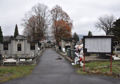 Novosedlice, Omnium, 2020