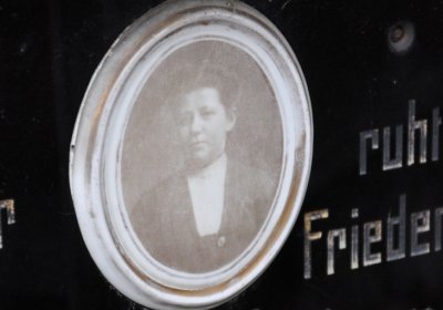 Novosedlice, Omnium, 2020