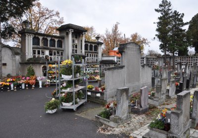 Novosedlice, Omnium, 2020