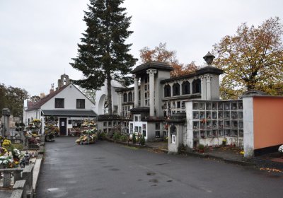 Novosedlice, Omnium, 2020